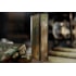 Baralho Colecionável Deck Lord of the Rings Special Edition Premium Box Set - O Senhor dos Anéis - Theory11