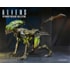 Boneco Articulado Burster Alien 7" Scale Figure - Aliens: Fireteam Elite - NECA