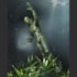 Boneco Articulado Creature from the Black Lagoon Ultimate - Universal Monsters - NECA