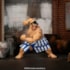 Boneco articulado E. Honda Escala 1/12 Street Fighter II The Final Challengers - Jada Toys