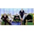 Conjunto completo Gorousei e Trono de Poder - The Throne of Power Ichibansho - One Piece - Bandai