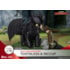 Diorama Toothless & Hiccup DS-178 D-Stage Banguela - Como Treinar seu Dragão - Beast Kingdom