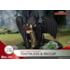 Diorama Toothless & Hiccup DS-178 D-Stage Banguela - Como Treinar seu Dragão - Beast Kingdom
