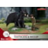 Diorama Toothless & Hiccup DS-178 D-Stage Banguela - Como Treinar seu Dragão - Beast Kingdom