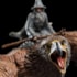 Estátua Gandalf the Grey On Gwaihir Miniature Statue WETA