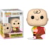 Funko Pop Charlie Brown with kite #1678 - Peanuts Snoopy