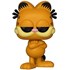 Funko Pop Garfield #20 - Garfield