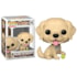 Funko Pop Golden Retriever #15 - Pets