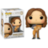 Funko Pop Hermione Granger with Crookshanks Bichento #167 - Harry Potter