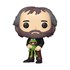 Funko Pop Jim Henson with Kermit #20 - Icons Muppets