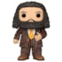 Funko Pop Rubeus Hagrid 15 cm #171 - Harry Potter