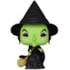 Funko Pop Wicked Witch #1519 - O Mágico de Oz - The Wizard of Oz