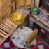 Kit de Montar Magic Shop Book Nook Diorama para prateleira - Hands Craft