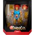 Lion-O Ultimates Figure Reissue 2.0 Thundercats Super7