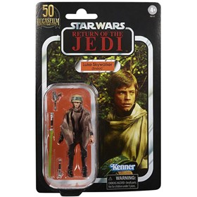 Luke Skywalker Endor Return of the Jedi Star Wars Vintage Collection Kenner Hasbro