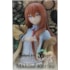 Makise Kurisu Coreful Steins Gate Taito