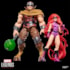 Medusa & Gorgon 2-pack Inhumans - Marvel Legends - Hasbro
