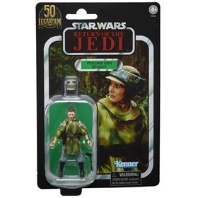 Princess Leia Endor Return of the Jedi Star Wars Vintage Collection Kenner Hasbro