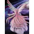Ultimate Madoka Puella Magi Madoka Magica: The Movie Rebellion - Evolve - Banpresto